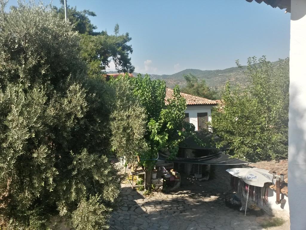 Zeytinli Konak Hostal Selçuk Habitación foto