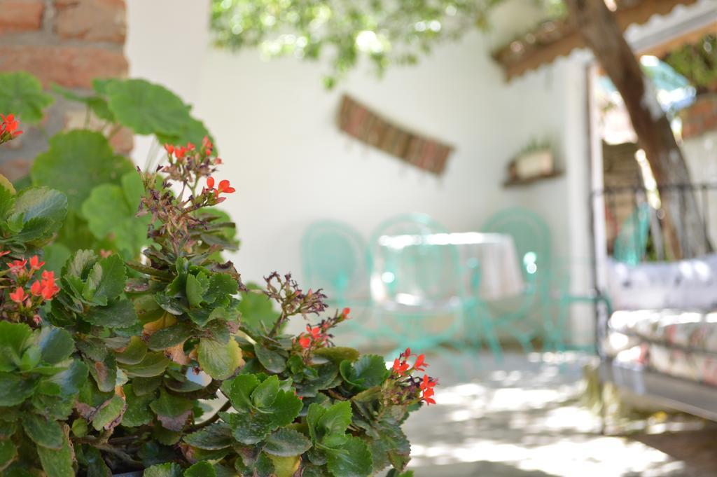 Zeytinli Konak Hostal Selçuk Exterior foto